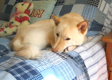Trying to Sleep!